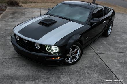 MUSTANG Bimmer post pic 3.jpg